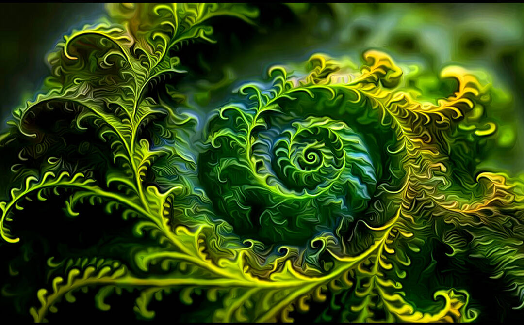 Fraktalni svijet – najava predavanja i radionice
